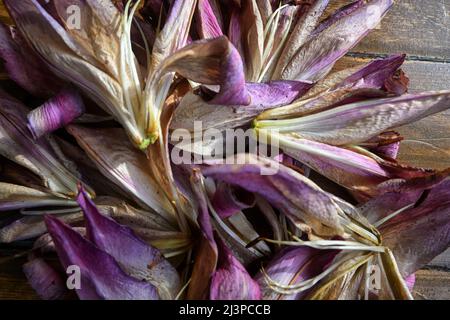 dying lily flowers Stock Photo