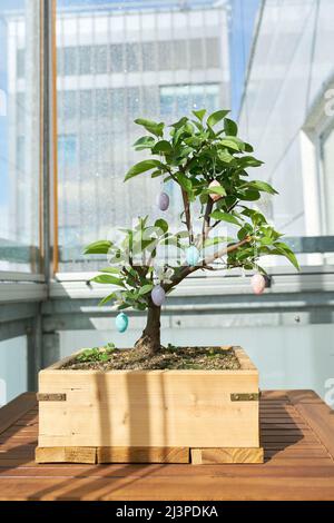 Bonsai decorated with Easter eggs on a table on the balcony Stock Photo