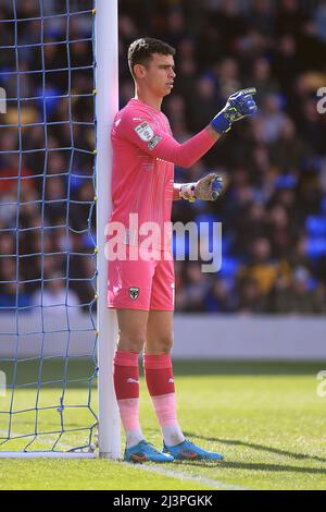 London, UK. 09th Apr, 2022. Nik Tzanev, the goalkeeper of AFC Wimbledon in action during the game. EFL Skybet football league one match, AFC Wimbledon v MK Dons at Plough Lane in London on Saturday 9th April 2022. this image may only be used for Editorial purposes. Editorial use only, license required for commercial use. No use in betting, games or a single club/league/player publications. pic by Steffan Bowen/Andrew Orchard sports photography/Alamy Live news Credit: Andrew Orchard sports photography/Alamy Live News Stock Photo