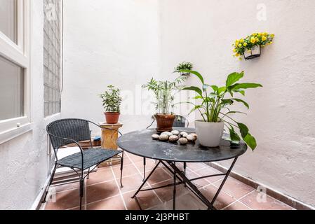 Patio with black circular folding metal table with matching chair and green plants on the table Stock Photo