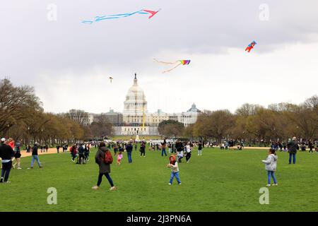 Kids, people flying kites on the National Mall with the US Capitol in the background during the Cherry Blossom festival, Washington DC, March 26, 2022 Stock Photo