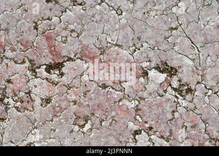 Stone patina - marble Stock Photo