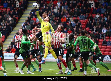 Sheffield, England, 9th April 2022.   Mark Travers of Bournemouth punches clear during the Sky Bet Championship match at Bramall Lane, Sheffield. Picture credit should read: Simon Bellis / Sportimage Stock Photo