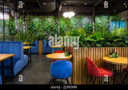 Moscow - Dec 17, 2021: Vertical garden in restaurant interior, landscaping inside modern cafe, cozy eco design indoor. Wall with natural green plants, Stock Photo