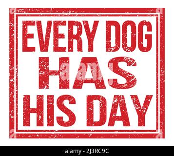 EVERY DOG HAS HIS DAY, written on orange grungy stamp sign Stock