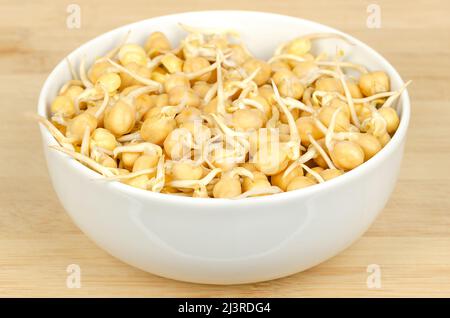 Chickpea sprouts, in a white bowl, on a bamboo board. Raw and fresh, ready to eat, sprouted chickpea seeds. Cicer arietinum. Stock Photo