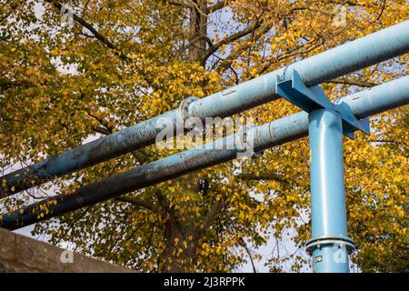 Blue construction pipes in front of a tree with yellow autumn leaves. Weathered dirty supply pipeline in the nature. Industry versus environment. Stock Photo