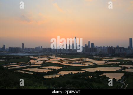 Shenzhen skyline , with skyscrapers and office against fish farm or fish ponds, during dramatic moment in evening, from the view of boundary of Hong K Stock Photo