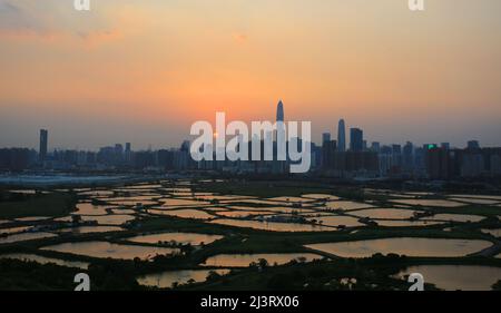 Shenzhen skyline , with skyscrapers and office against fish farm or fish ponds, during dramatic moment in evening, from the view of boundary of Hong K Stock Photo