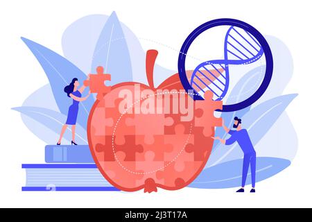 Scientists doing apple jigsaw puzzle. Genetically modified organism and engineered organism, molecular engineering concept on white background. Pinkis Stock Vector