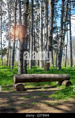 Bench made of logs on background of pine forest. Blue sky with white clouds and sun glare shines through forest. Lush green grass covered ground. Clos Stock Photo