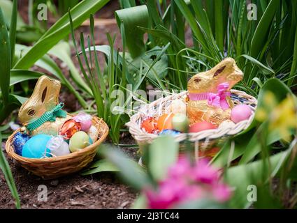 Berlin, Germany. 01st Apr, 2022. ILLUSTRATION - Two Easter nests with chocolate bunnies, colored eggs and chocolate eggs lie in a flower bed (posed scene). (to dpa Easter traditions: When the hare hops with eggs) Credit: Annette Riedl/dpa/Ģ����ý Live News Stock Photo