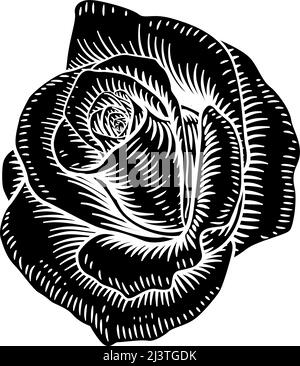 Rose Flower Vintage Woodcut Drawing Stock Vector