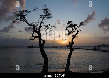 Martinique, Antilles Françaises, Saint Anne, bord de mer, mer caraïbes, caraïbes,  beach of the Club Med Stock Photo