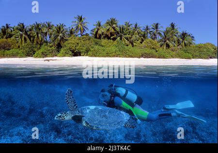Split image, maldivian island, scuba diver with a loggerhead turtle (Caretta caretta), Ari Atoll, Maldives, Indian ocean, Asia