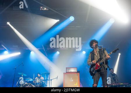 The italian rock pop band Zen circus perform live in Turin Stock Photo