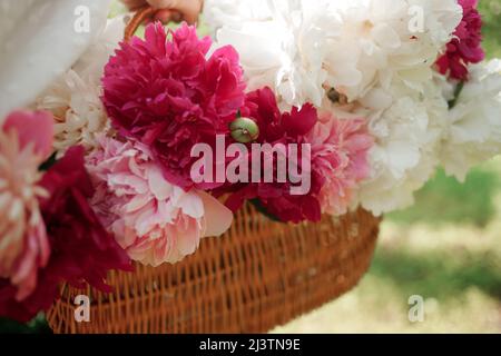 White and pink peonies in a basket on a green lawn, close-up with blurred background, partial sharpness, summer concept Stock Photo