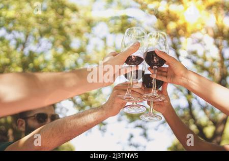 hands toasting with red wine outdoors in the countryside. Friendship and togetherness concept with people clinking with wineglasses against the trees Stock Photo