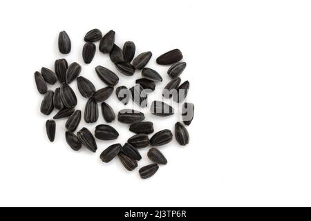 black sunflower seeds isolated on white background, top view of pile of roasted unpeeled seeds Stock Photo