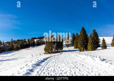 Discovery tour of the Feldberg in the Black Forest - Baden-Württemberg - Germany Stock Photo