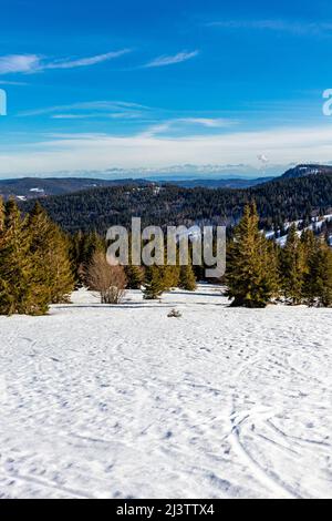 Discovery tour of the Feldberg in the Black Forest - Baden-Württemberg - Germany Stock Photo