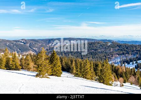 Discovery tour of the Feldberg in the Black Forest - Baden-Württemberg - Germany Stock Photo