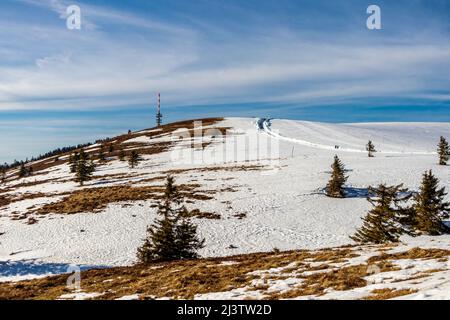 Discovery tour of the Feldberg in the Black Forest - Baden-Württemberg - Germany Stock Photo