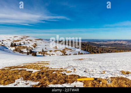 Discovery tour of the Feldberg in the Black Forest - Baden-Württemberg - Germany Stock Photo