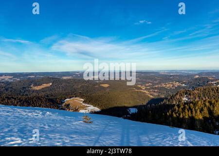 Discovery tour of the Feldberg in the Black Forest - Baden-Württemberg - Germany Stock Photo