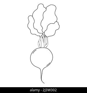 Black and white vector illustration of radish for coloring book. Cartoon style Stock Vector