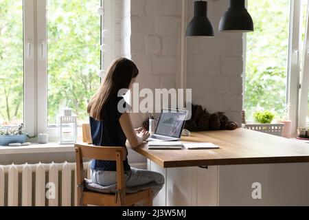 Side view woman analyze statistical data working indoor use laptop Stock Photo