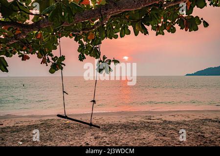 Silhouette of leafy Ketapang tree or beach almond tree (Terminalia catappa) with a swing hanging from it during sunset at Teluk Segari Beach, Malaysia. Stock Photo