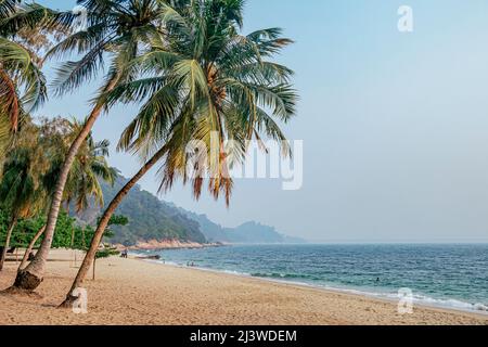 Sandy beach with coconut trees at Pantai Teluk Batik Beach off Lumut in Perak State of Malaysia. Stock Photo