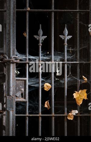 Old cemetary tomb gate with aged metal bars covered with spider webs and autumn leaves. Stock Photo