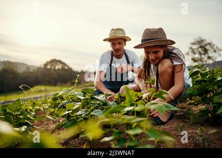 Shes getting some hands on education. Low angle shot of a handsome man and his young daughter working the fields on their farm. Stock Photo