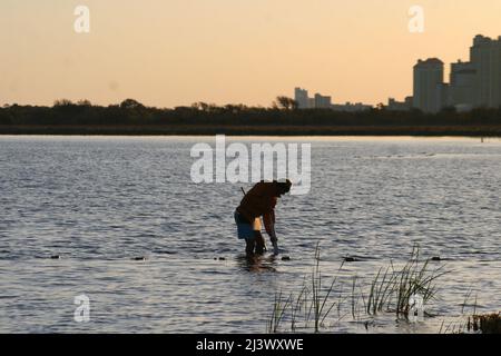 Gulf Shores clam/mussels fishing in Lake Shelby a fresh water lake near the Gulf Coast. Stock Photo