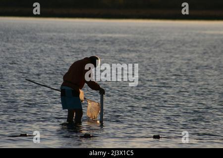 Gulf Shores clam/mussels fishing in Lake Shelby a fresh water lake near the Gulf Coast. Stock Photo