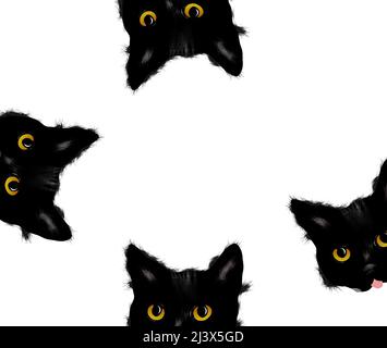 Four black kittens peer into a frame to make a feline border in this 3-d background illustration. Stock Photo