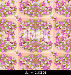 Seamless delicate tile pattern with pink saxifrage flowers, square framing. The concept of textiles or tiles for home decoration Stock Photo