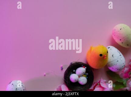 violet background template easter with eggs in a nest, chick Stock Photo