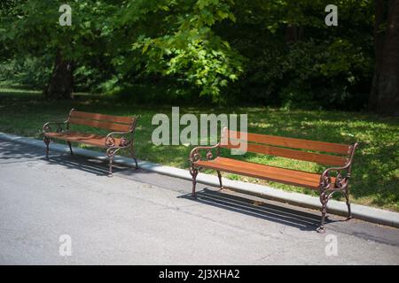Wooden benches in the city park without a people. Green meadow and trees as a backdrop. Stock Photo