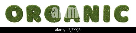 Word 'organic' made of realistic grass letters, isolated on white background. 3D image Stock Photo