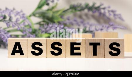 assets - word from wooden blocks with letters, useful or valuable thing assets concept, random letters around white background. Stock Photo