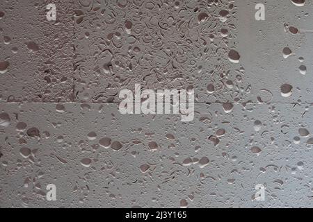 Textured wall lined with shell rock tiles. Stock Photo