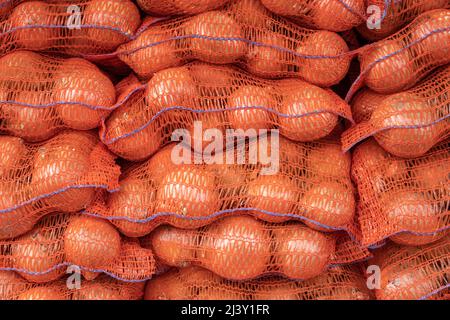 5 kg farm onions in a red pp mesh bag. Polypropylene net sack with 11 lb of  organic onions on a brown floor indoors. Buying fresh vegetables in bulk  Stock Photo - Alamy