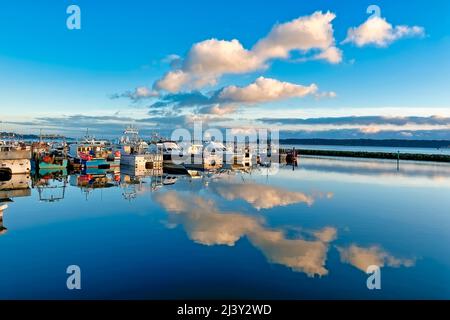 Poole, Dorset, UK - January 27 2022: Boats moored at Fishermans Dock in Poole, Dorset, England, UK, with Brownsea Island in the distance. Stock Photo