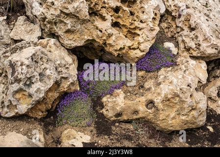 wall of large limestone boulders in a rock garden Stock Photo - Alamy