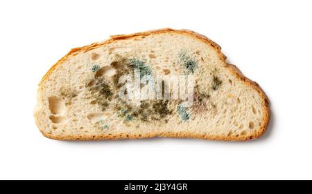 Slice of spoiled bread isolated on a white background. Wheat bread piece with various kinds of mold cutout. Moldy fungus on rotten bread close-up. Stock Photo