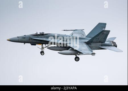 A McDonnell Douglas CF-18 Hornet fighter jet of the Royal Canadian Air Force. Stock Photo