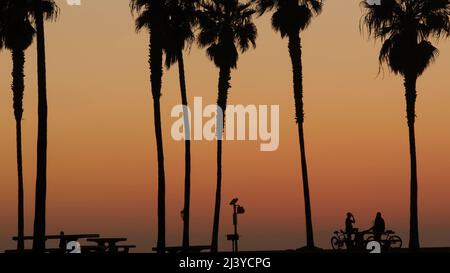 Orange sky, silhouettes of palm trees on beach at sunset, California coast, USA. Bicycle or bike in beachfront park at sundown in San Diego, Mission beach vacations resort on shore. People walking. Stock Photo